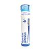 Boiron Hypericum Perforatum 6C, 80 Pellets, Homeopathic Medicine for Nerve Pain