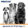 Dog Multi Vitamins Supplement Support Overall Wellness All Stages, 90 Chewables