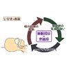 Easy anti-snoring measures Snoring Pishatsu! Made in Japan