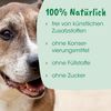 SeniorDog 600 g
