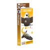 EUGY D5082 Bald Eagle 3D Model Craft Kit Age 6+