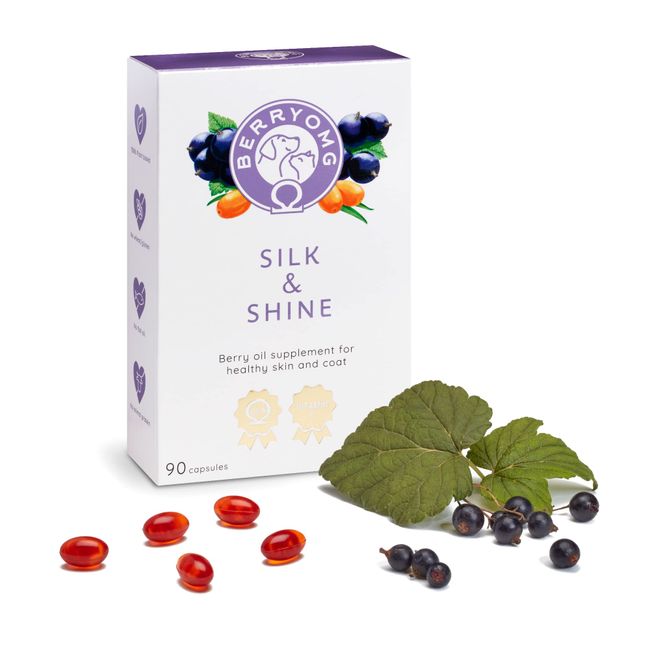 BERRYOMG Silk & Shine veganes, pflanzliches Beerenöl-Ergänzungsfuttermittel für Hunde und Katzen: für gesunde Haut und glänzendes Fell aus schwarzem Johannisbeersamenöl und Sanddornöl (90 Kapseln)