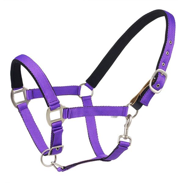 Centaur Solid Cushion Padded Breakaway Halter (Purple, Horse)