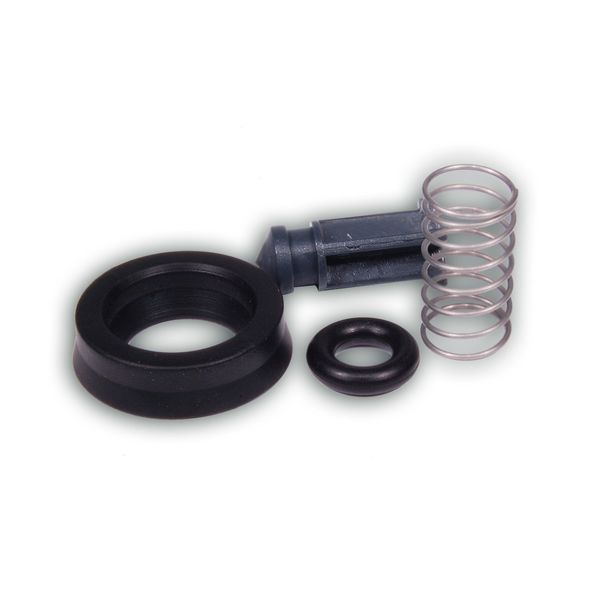 Saeco Water Tank Seal Set