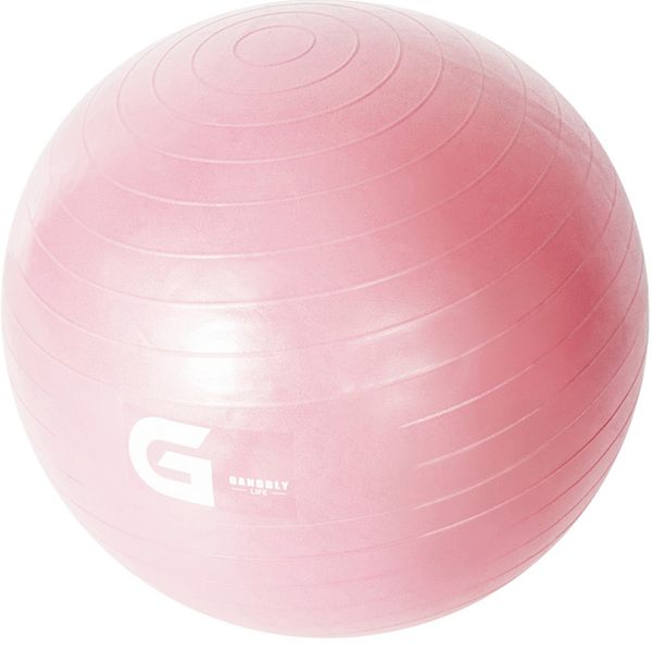 Gangvely Life G Series Gym Ball, Blue