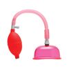 Size Matters Vaginal Pump Kit - Pink | Enlarge Labia for Ultimate Pleasure