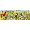 Backyard Birds Panoramic 1000pc
