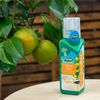 Westland Citrus Tree Feed Concentrate, 200 ml
