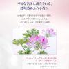 Wild Rose Grow Facial Cream