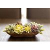 Red Barn Dough Bowl Candles (3-Wick) (3-Wick, Candy Cane)
