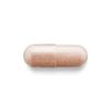 GNC Herbal Plus Grape Seed Extract, 300 mg | Provides Antioxidant Support | 100 Capsules