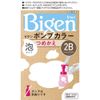 Set of 7 Bigen Pump Color 2B Beige Brown Refill