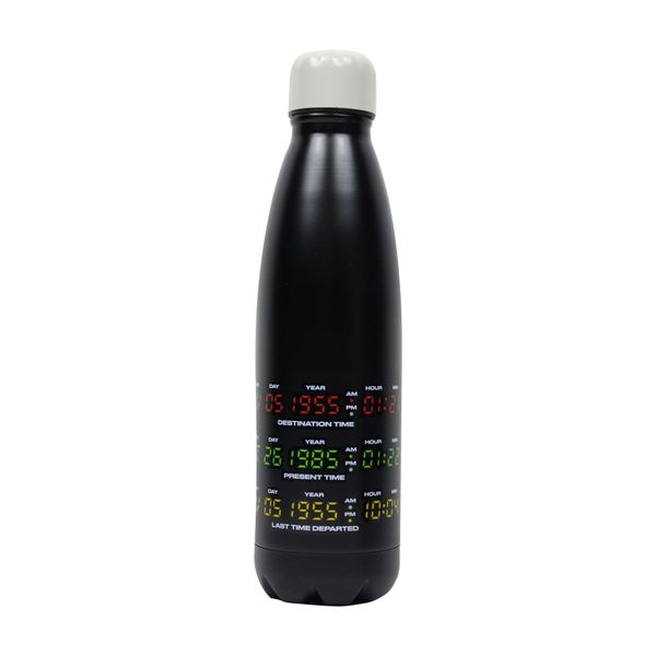 Back to The Future Water Bottle (Metal) 500 ml