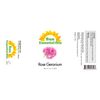 Sun Essential Oils 4oz - Rose Geranium Essential Oil - 4 Fluid Ounces