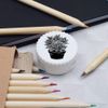'Pot of Succulents' Compact Pencil Sharpener (PS00045959)