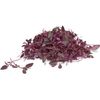 500 Red Spinach Seeds for Planting Chinese Amaranth Spinach