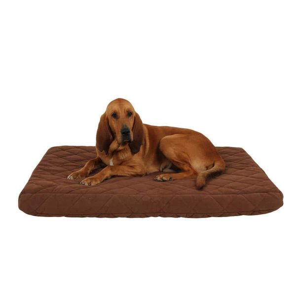 Unbranded Dog Beds 4.0"H x 48.0"W x 36.0"D Large Machine Washable Chocolate