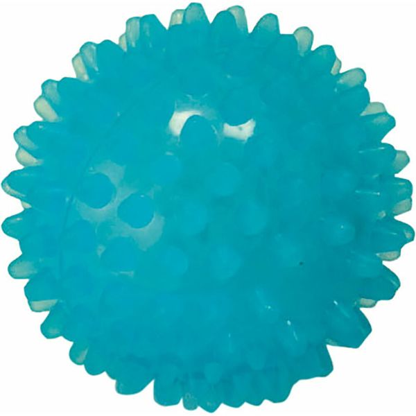 DANNO Reflex Ball 6 Hard Type Blue Massage Ball DANNO D5964