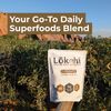 Lokahi Superfoods Protein Blend (2lbs, Chocolate)