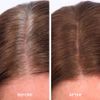 Color & Conceal (Dark Brown)