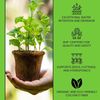 Coco Coir Mega Brick 11 lb Organic Pre-Washed, Buffered, RHP Certified Growing