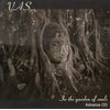 In Garden Of Souls