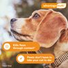 Advantage Multi Topical Solution for Dogs 1 Dose, 9.1-20 lbs (Teal)