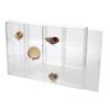 SAFE Seashell Display Case - Large 12 Compartments
