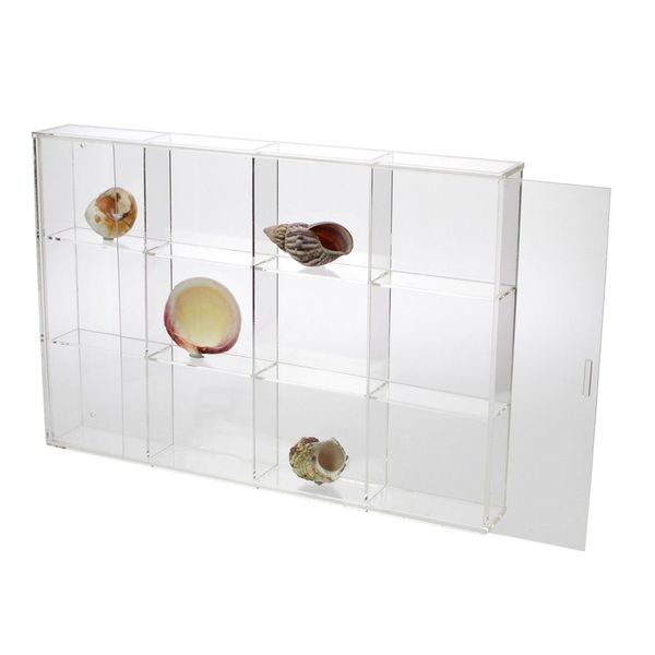 SAFE Seashell Display Case - Large 12 Compartments