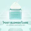 Mediheal Madecassoside Blemish Pad 100 Pads