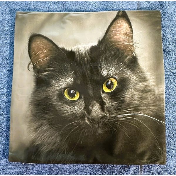 Throw Pillow Cover Shell Black Cat (NO PILLOW INSERT-SHELL ONLY) 17 x 17