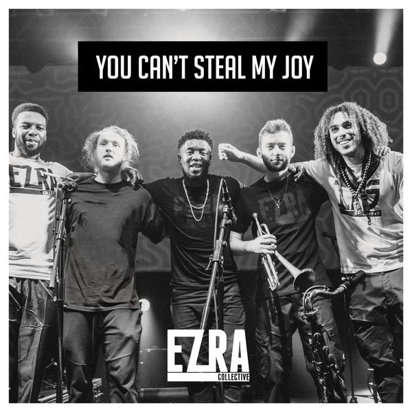 You Can't Steal My Joy [VINYL]