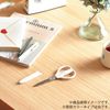 KOKUYO Scissors Saxa Glueless Blade, Green, Hasa-P280G