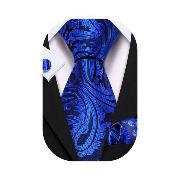 Barry.Wang Paisley Ties for Men,Silk Necktie Set Wedding Business Royal Blue