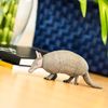 Safari 262829 Armadillo Animal Figure