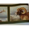 RAMS ELK  MOOSE  WILDLIFE IN PICTURE FRAMES PREPASTED WALLPAPER BORDER HB112112B