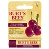Burtâ€™s Bees Wild Cherry Lip Balm
