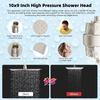Metal 10'' Filtered Rainfall Shower Head with Handheld Combo, High Pressure Show
