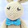 Crochet Pattern - Bunny Rabbit Printed Pattern Booklet - Learn to Crochet Complete Beginner Pattern