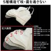 3D Masks, High Function, 50 Pieces, Non-Woven Mask, 5-Layer Construction, Individually Packaged, For Adults, Medical Sites, 3D Type, Soft, Super Comfortable, Disposable Masks, Safe for Going Out, Unisex (50 Pieces)