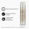 Joico Blonde Life Brightening Shampoo and Conditioner Set