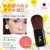 Teak Brush for Compact Use (Powder Brush, Face Brush, Blush, Horse Hair, Portable, Made in Japan) [MC Collection]