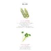 Pink Tea Tree Gel Cleanser [Official Applin / APLIN Official] Morning Wash Face / Tea Tree / Deer Ingredients / Korean Cosmetics / Korean Skin Care
