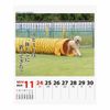 2024 Poodle Senryu (Weekly Turning) Calendar No. 030