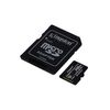Kingston Canvas Select Plus microSD Card SDCS2/256 GB Class 10 (SD Adapter Included)