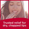 Carmex Medicated Lip Balm Jars, Lip Moisturizer for Dry, Chapped Lips, 0.25 OZ - 3 Count (2 pack)