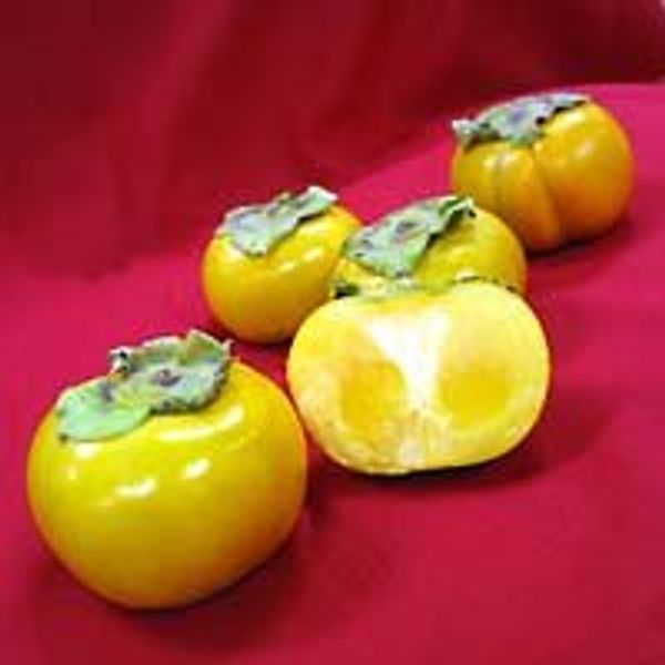 Melissa's Fresh Persimmons, 2 lbs.