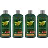 Logona Colour Reflex Shampoo Brown / Black Organic Hazelnut 4 x 250 ml