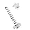 Ear Piercing Stud Labret Stud 1.2 mm with Internal Thread and Star, Titanium