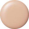 Cocoist E-252S Color Gel 0.1 oz (2.5 g) Worm Concealer, UV/LED Compatible, Gel Nail